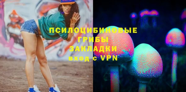 apvp Лагань